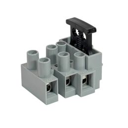 Fused Terminal Block - 3 Pole 10A 250Vac